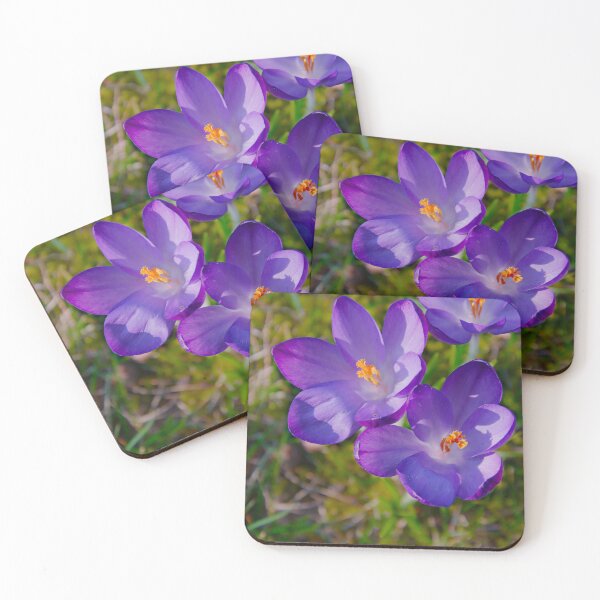 Item preview, Sunlit Purple Crocus Cluster – Spring Macro designed and sold by ShotsbyDesiree.