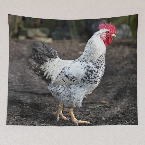 Item preview, Rooster designed and sold by Stephen Jarman.