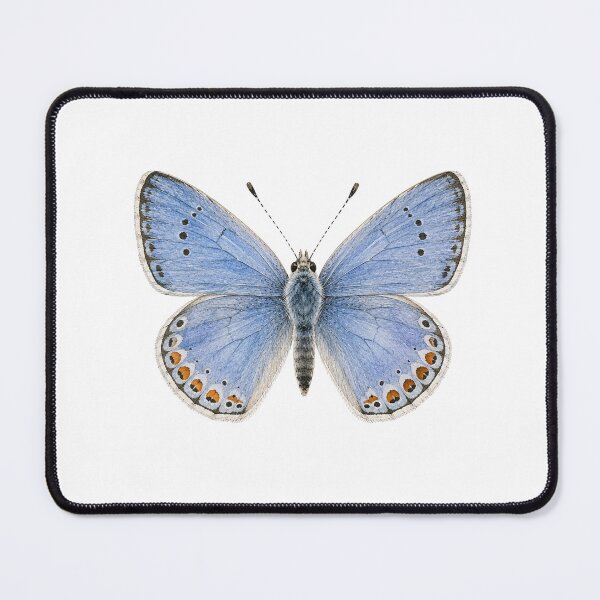 Item preview, Vintage Watercolor Common Blue Butterfly | Botanical Butterfly Illustration designed and sold by Ethereal-Rain.