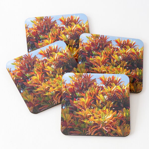 Item preview, Tree with colorful leaves from the coasts of Brazil designed and sold by elcarnero.