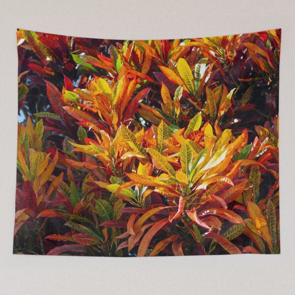 Item preview, Tree with colorful leaves from the coasts of Brazil designed and sold by elcarnero.