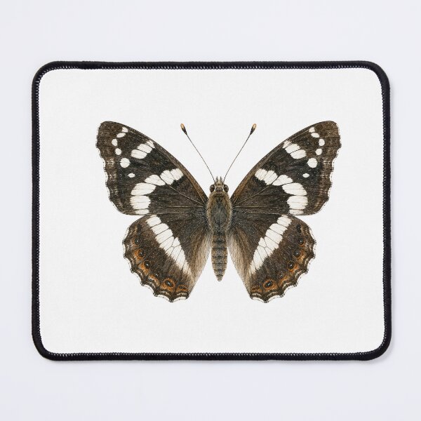 Item preview, Vintage Watercolor White Admiral Butterfly | Botanical Butterfly Illustration designed and sold by Ethereal-Rain.