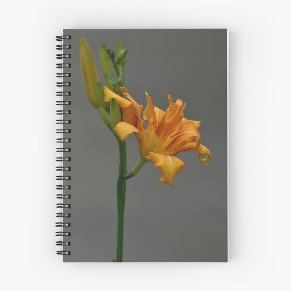 Item preview, Orange Daylily Flower Vertical Photography designed and sold by TathataPhotos.