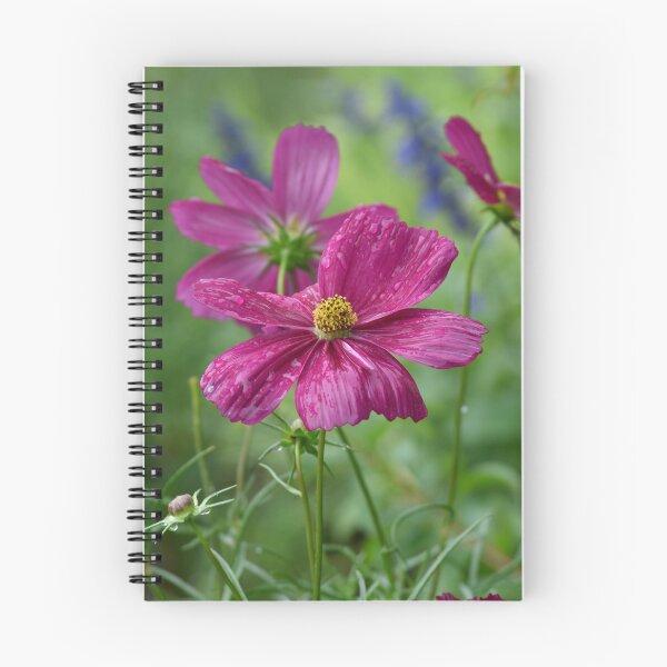 Item preview, Rain Kissed Pink Cosmos Vertical | Cosmos Bipinnatus Macro Floral Photography designed and sold by TathataPhotos.