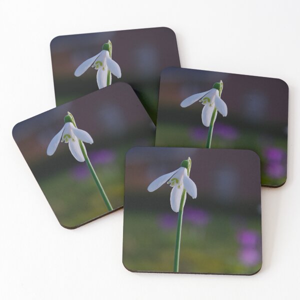 Item preview, Solitary Snowdrop – Elegant Spring Light designed and sold by ShotsbyDesiree.