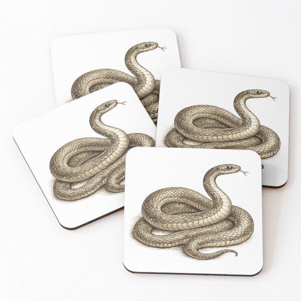 Item preview, Anatomical Engraving Snake designed and sold by A Light Worker.