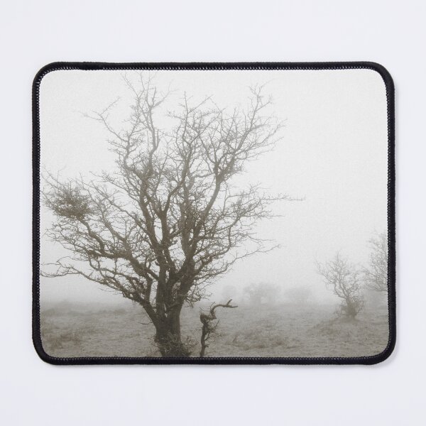 Item preview, Winter Mist on Exmoor designed and sold by David Bowman.