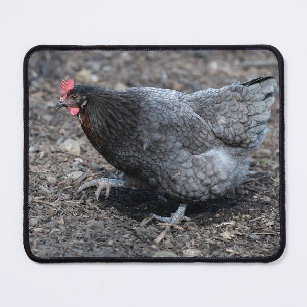 Item preview, Sapphire Gem hen designed and sold by Stephen Jarman.