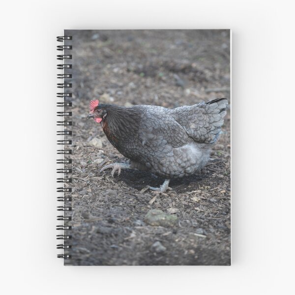 Item preview, Sapphire Gem hen designed and sold by Stephen Jarman.