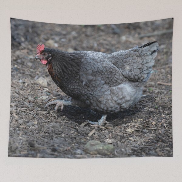 Item preview, Sapphire Gem hen designed and sold by Stephen Jarman.