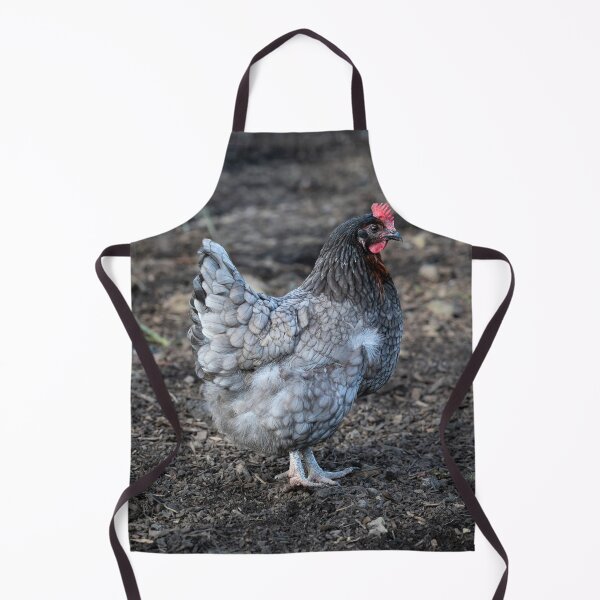 Aperçu de l'œuvre Poule Saphir Gem créée et vendue par Stephen Jarman.