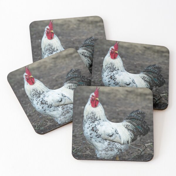 Item preview, Cream legbar rooster designed and sold by Stephen Jarman.