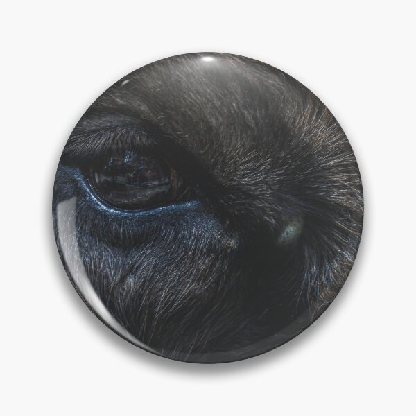Item preview, Close Up Macro of Bison Eye and Thick Brown Fur Texture designed and sold by NorthWild.