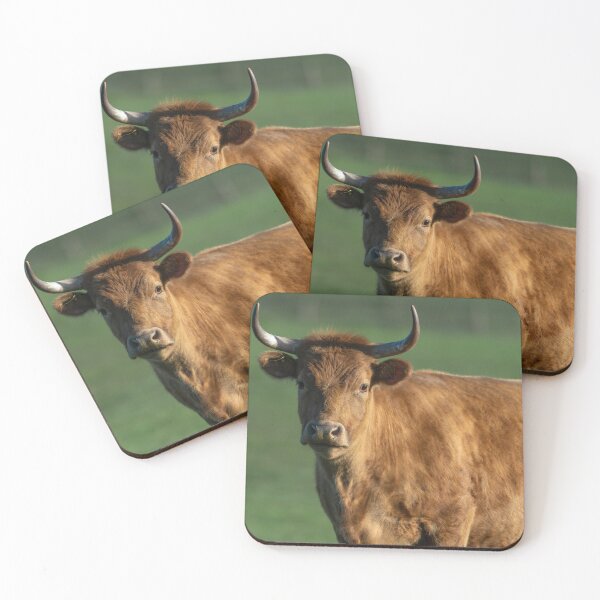 Item preview, Brown cow with horns designed and sold by Stephen Jarman.
