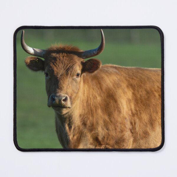 Item preview, Brown cow with horns designed and sold by Stephen Jarman.
