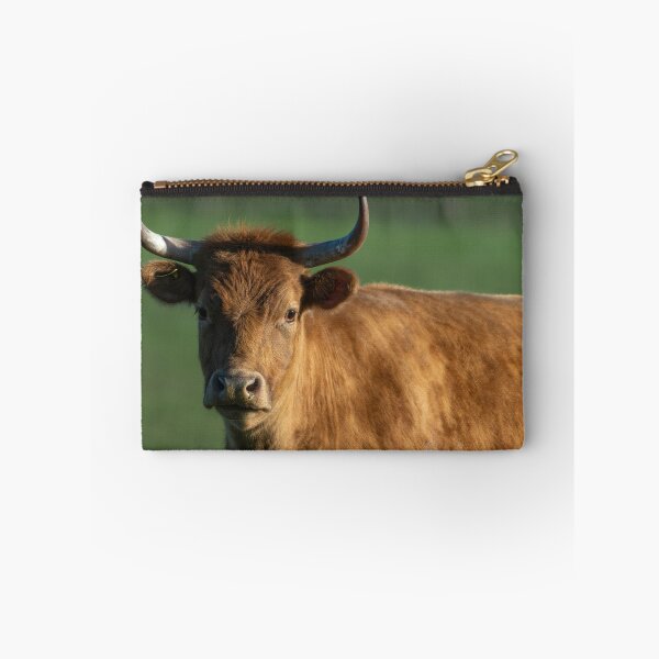 Item preview, Brown cow with horns designed and sold by Stephen Jarman.