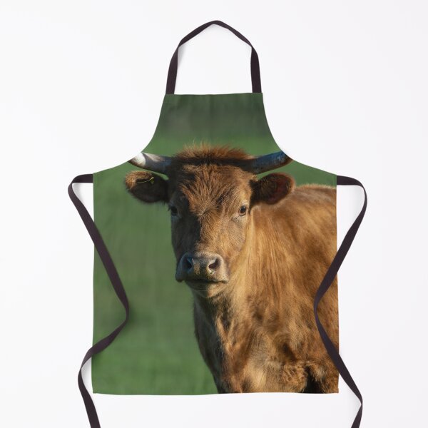 Item preview, Brown cow with horns designed and sold by Stephen Jarman.