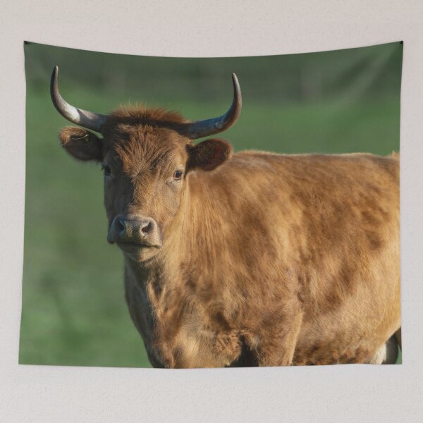 Item preview, Brown cow with horns designed and sold by Stephen Jarman.