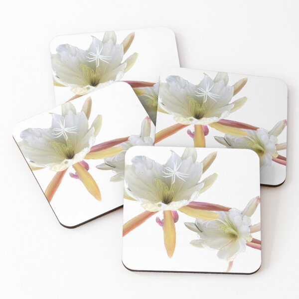 Item preview, Summer Bloom  designed and sold by Gasserdesigns.