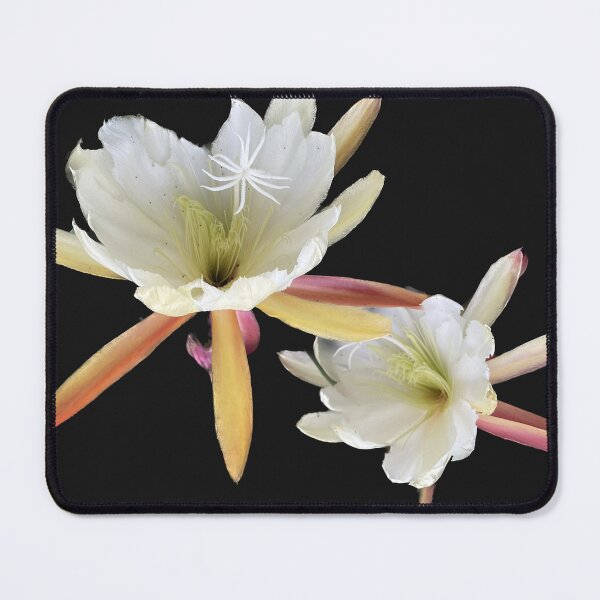 Item preview, Summer Bloom  designed and sold by Gasserdesigns.