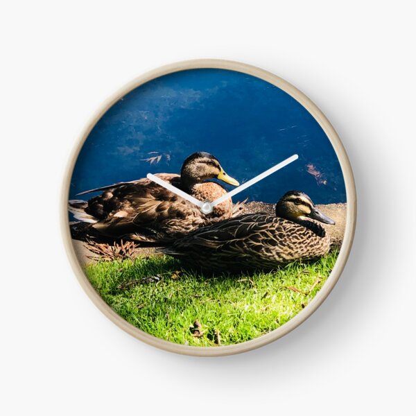 Item preview, Ducks Resting by Lake  designed and sold by Jasbindar Singh.