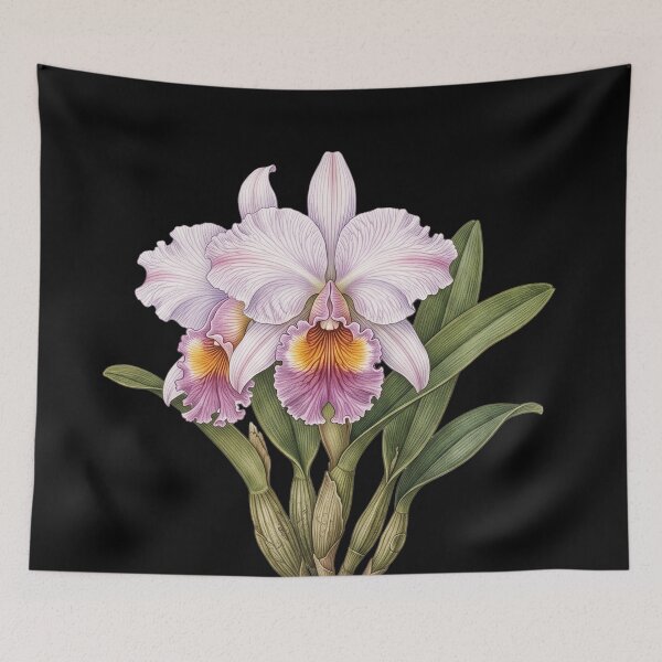 Item preview, Epiphytic Delirium: Vintage Cattleya Trianae Botanical Illustration designed and sold by FreiherrPK.