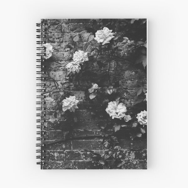 Item preview, Black Rose designed and sold by VILLAGESTORE.