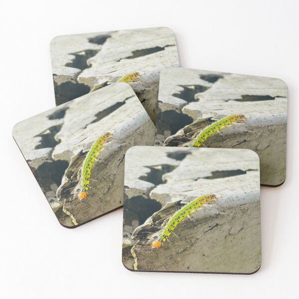 Item preview, Caterpillar Exploring the Ledge  designed and sold by Jasbindar Singh.