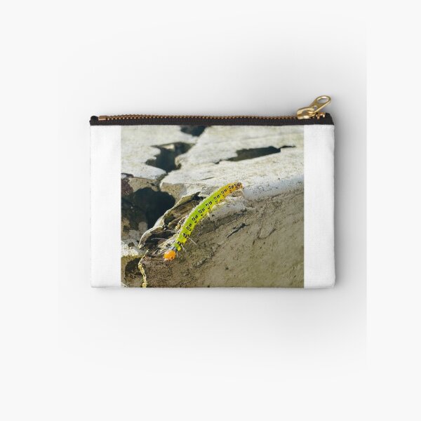 Item preview, Caterpillar Exploring the Ledge  designed and sold by Jasbindar Singh.