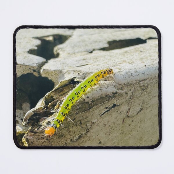 Item preview, Caterpillar Exploring the Ledge designed and sold by Jasbindar Singh.