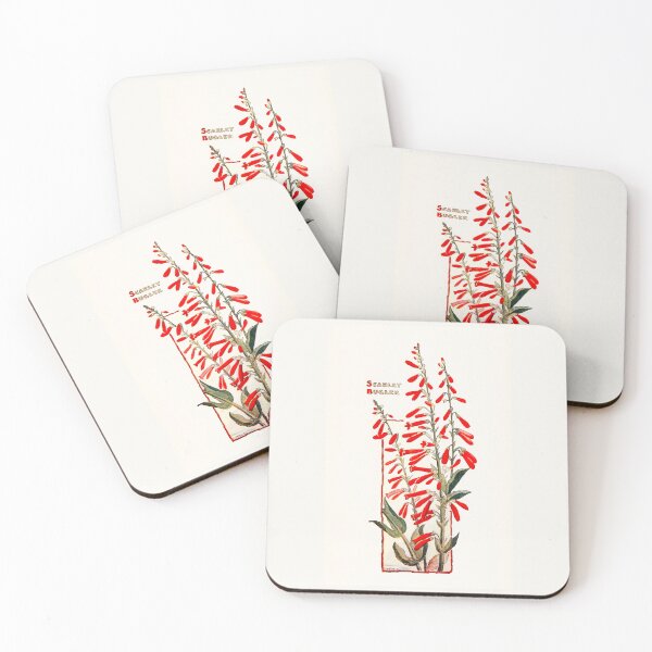 Item preview, Scarlet Bugler by Elisabeth Moore Hallowell Saunders (1905) designed and sold by Vernissage-dart.
