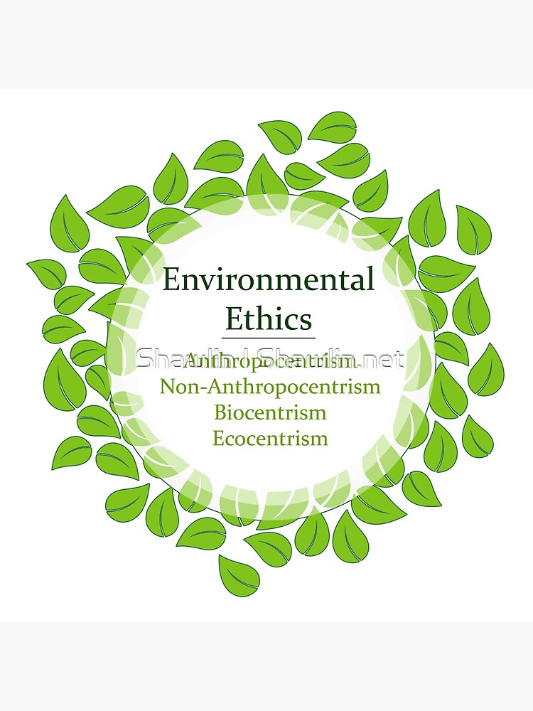 the-4-environmental-ethics-poster-for-sale-by-amelislam-redbubble