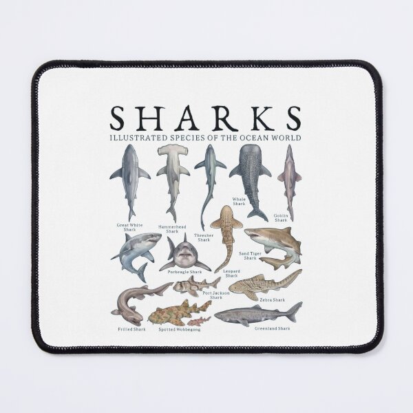 Item preview, Vintage Shark Species designed and sold by Gbriel3.