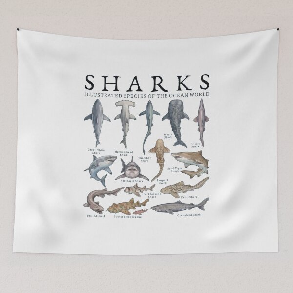 Item preview,  Vintage Shark Species designed and sold by Gbriel3.