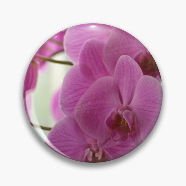 Item preview, Pink Phalaenopsis Orchid Cascade Botanical Fine Art Photography designed and sold by pinkal.