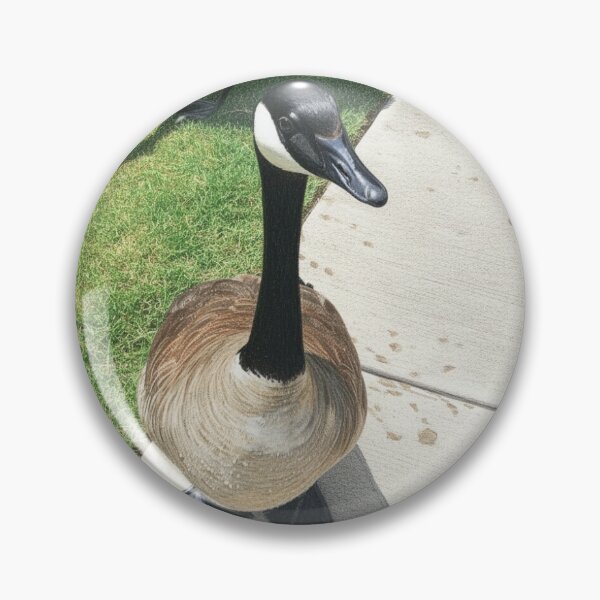 Item preview, Canada Geese Real Photo Print designed and sold by KaleChub.