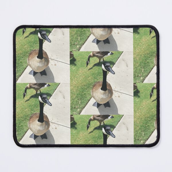 Item preview, Canada Geese Real Photo Print designed and sold by KaleChub.