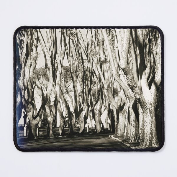 Item preview, Gothic Rome: Gianicolo Tree Tunnel designed and sold by Perotinus.