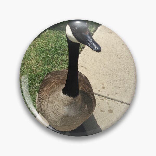 Item preview, Canada Geese Real Photo Print designed and sold by KaleChub.