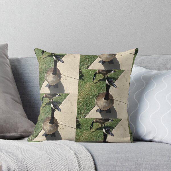 Item preview, Canada Geese Real Photo Print designed and sold by KaleChub.