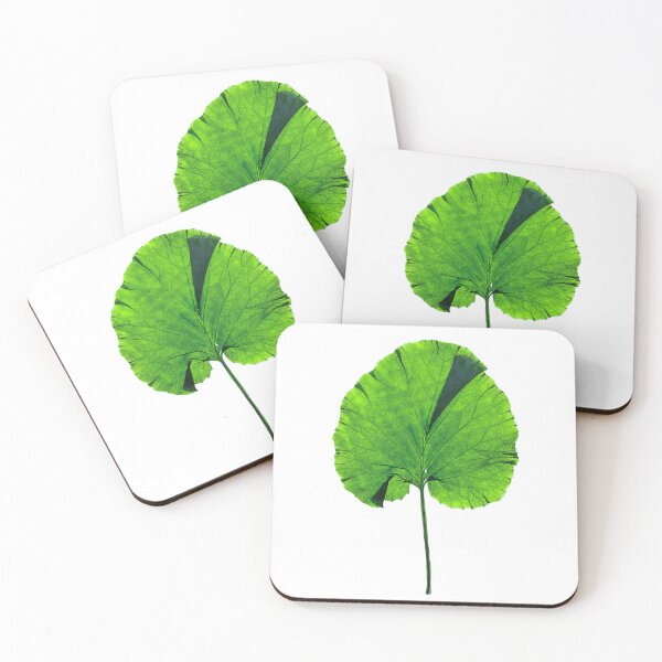 Item preview, Pressed Primula Leaf Botanical Green Nature Art designed and sold by Elżbieta  Kaps.