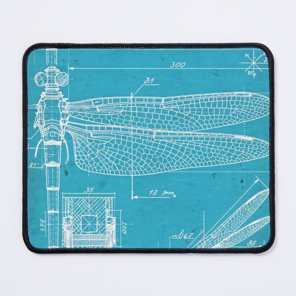 Item preview, Da Vinci Dragonfly Wing Study Renaissance Entomology designed and sold by Jozefin's Studio.