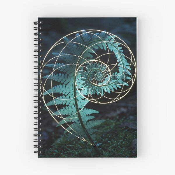 Item preview, Golden Ratio Fern Frond Fibonacci Spiral Botanical designed and sold by Jozefin's Studio.