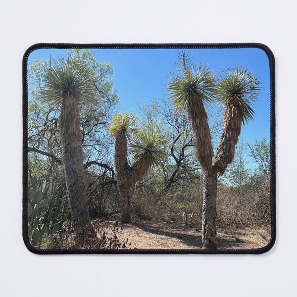 Item preview, Yucca Grove designed and sold by Catherine Kerr.