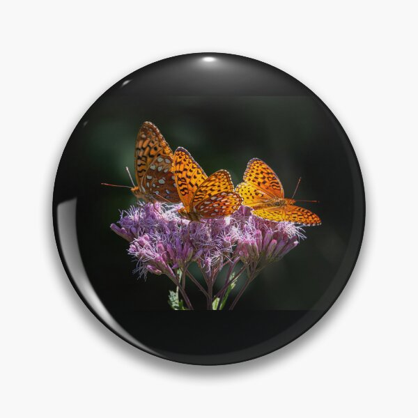 Item preview, Speyeria Aphrodite butterflies on Spotted Joe-pyeweed. designed and sold by James Cumming.