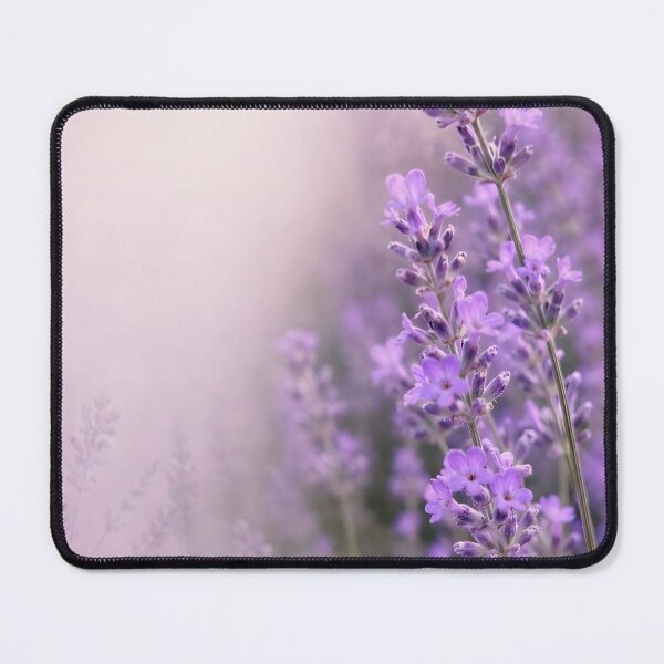 Item preview, Lavender Garden Collection No. 01 | Fine Art Botanical Photography Print designed and sold by ViolafleurViolett.