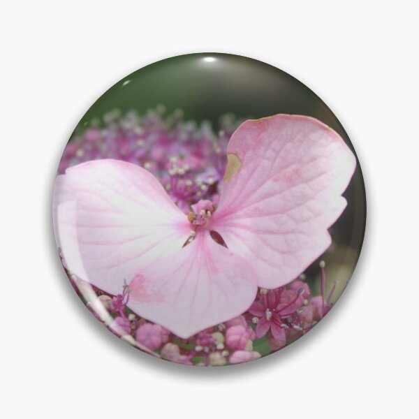 Item preview, Light pink hydrangea flower - Soft nature photography designed and sold by Cha-s-lens.