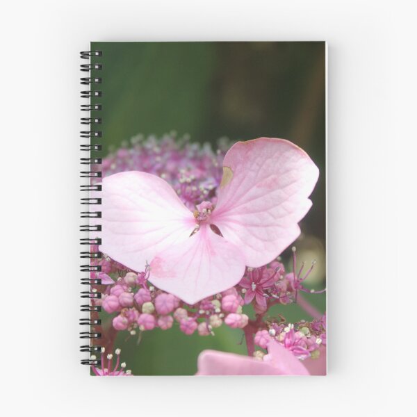 Item preview, Light pink hydrangea flower - Soft nature photography designed and sold by Cha-s-lens.
