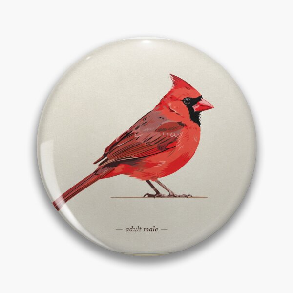 Item preview, Vintage Northern Cardinal Art Print designed and sold by Filora Atelier | Bird Art.