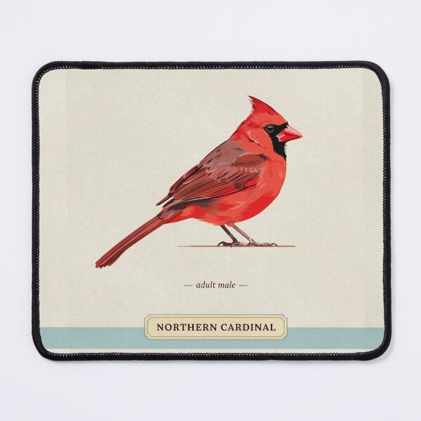 Item preview, Vintage Northern Cardinal Art Print designed and sold by Filora Atelier | Bird Art.